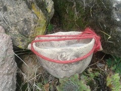 Vánoční cesmína - misky a talířky