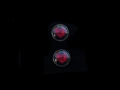 Ve fialové krajce - náhrdelník