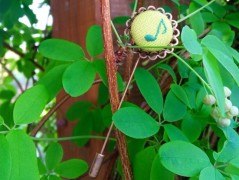 Melounové potěšení – kapsička