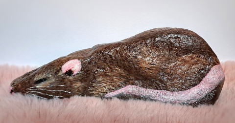 Potkánek :-) těžítko potkan potkánek malovaný kámen malované kameny 