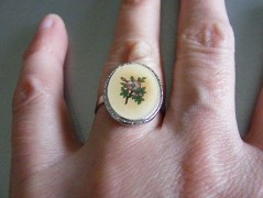 Jantarové noci - brož