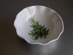 Jantarové noci - brož