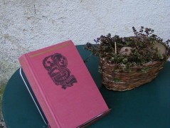 Jantarové noci - brož