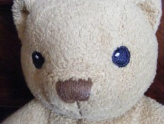 Jantarové noci - brož