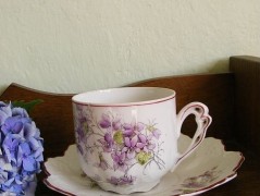 Jantarové noci - brož