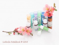 Tak jako slunečnice každým dnem...