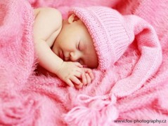 Skřítkové, rarášci, vylezte z mechu