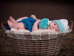 Skřítkové, rarášci, vylezte z mechu