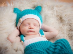 Skřítkové, rarášci, vylezte z mechu