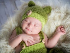 Skřítkové, rarášci, vylezte z mechu