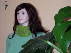 Střapatý nákrčník ,,The Red