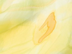 Hedvábná kravata Tropická džungle