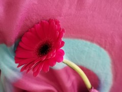 Hedvábná kravata Tropická džungle