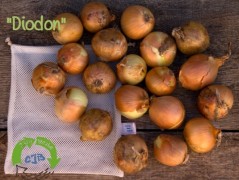 Star pelíšek - sleva