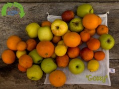 Star pelíšek - sleva