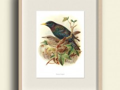 Tisk na starý novový papír KLAVÍR