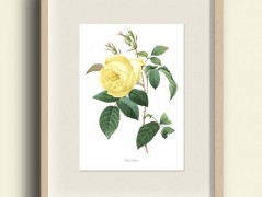 Tisk na starý novový papír KLAVÍR