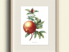 Tisk na starý novový papír KLAVÍR