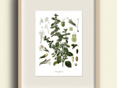 Tisk na starý novový papír KLAVÍR