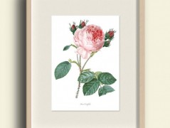 Tisk na starý novový papír KLAVÍR