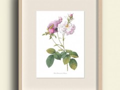 Tisk na starý novový papír KLAVÍR