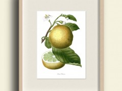 Tisk na starý novový papír KLAVÍR