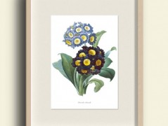 Tisk na starý novový papír KLAVÍR