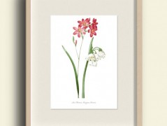 Tisk na starý novový papír KLAVÍR