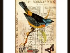 Tisk na starý novový papír KLAVÍR