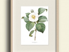 Tisk na starý novový papír KLAVÍR