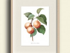 Tisk na starý novový papír KLAVÍR