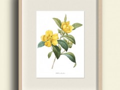 Tisk na starý novový papír KLAVÍR