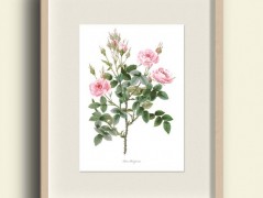 Tisk na starý novový papír KLAVÍR