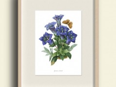 Tisk na starý novový papír KLAVÍR