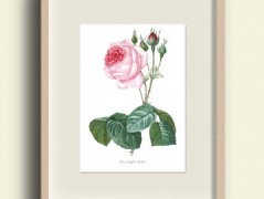 Tisk na starý novový papír KLAVÍR