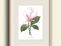 Tisk na starý novový papír KLAVÍR