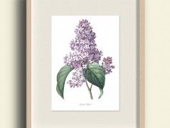 Tisk na starý novový papír KLAVÍR