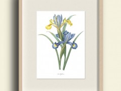 Tisk na starý novový papír KLAVÍR