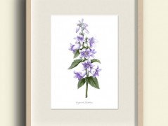 Tisk na starý novový papír KLAVÍR