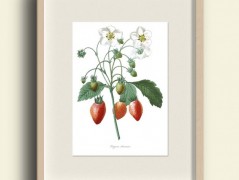 Tisk na starý novový papír KLAVÍR