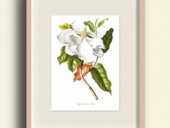 Tisk na starý novový papír KLAVÍR