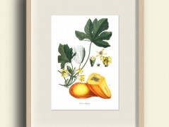 Tisk na starý novový papír KLAVÍR