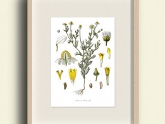 Tisk na starý novový papír KLAVÍR