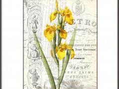 Tisk na starý novový papír KLAVÍR