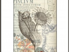 Tisk na starý novový papír KLAVÍR