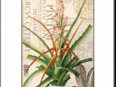 Tisk na starý novový papír KLAVÍR