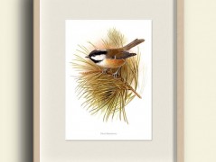 Tisk na starý novový papír KLAVÍR