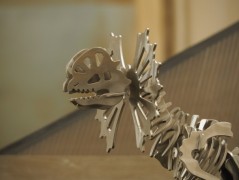 Držák na medaile - POŘÁD Z SVÝM