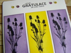 Přáníčko (č. 120)