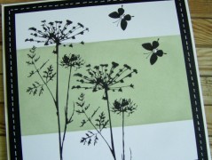 Přáníčko (č. 120)